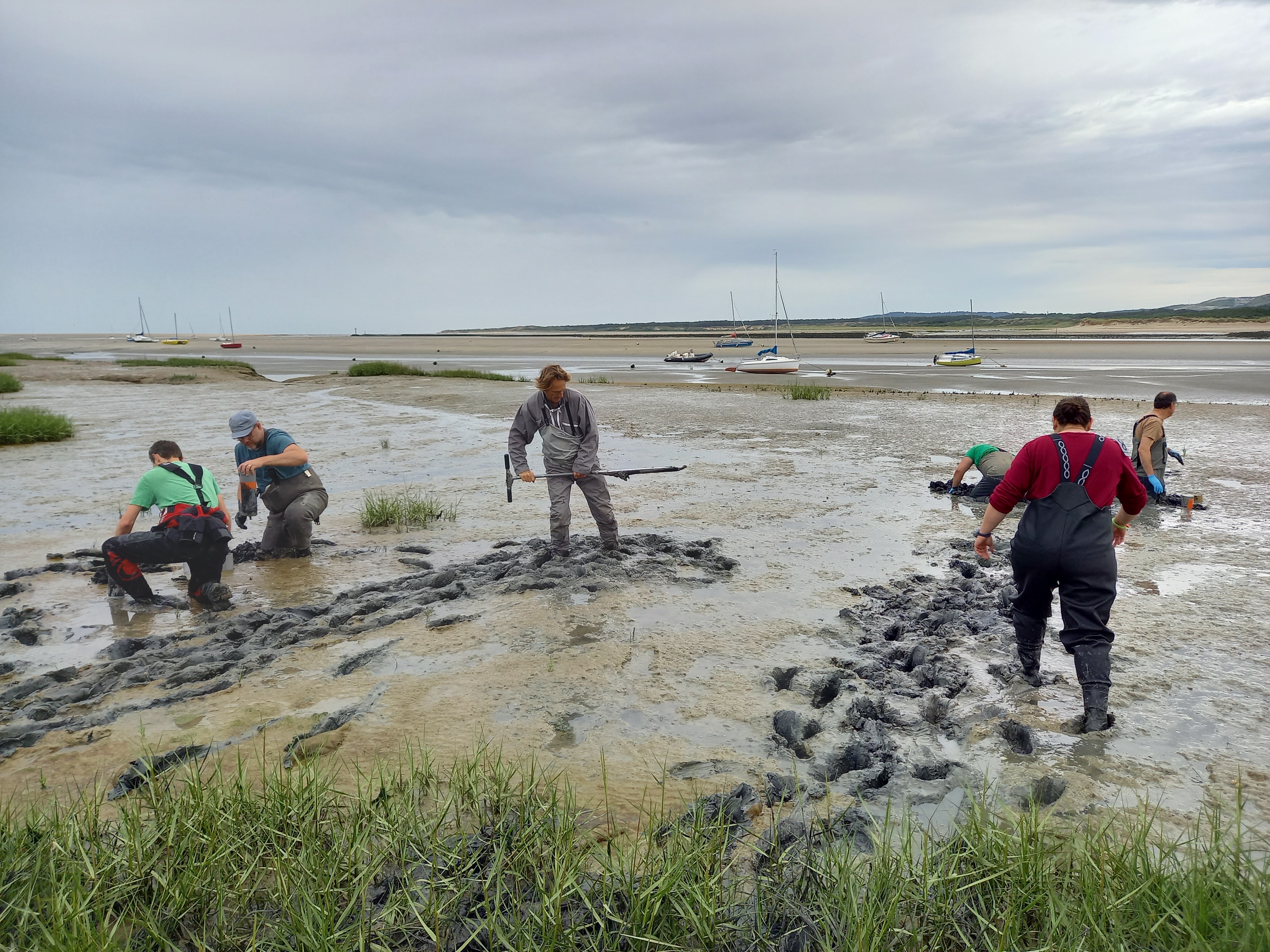 CABESTAN - Estuaire Canche 3