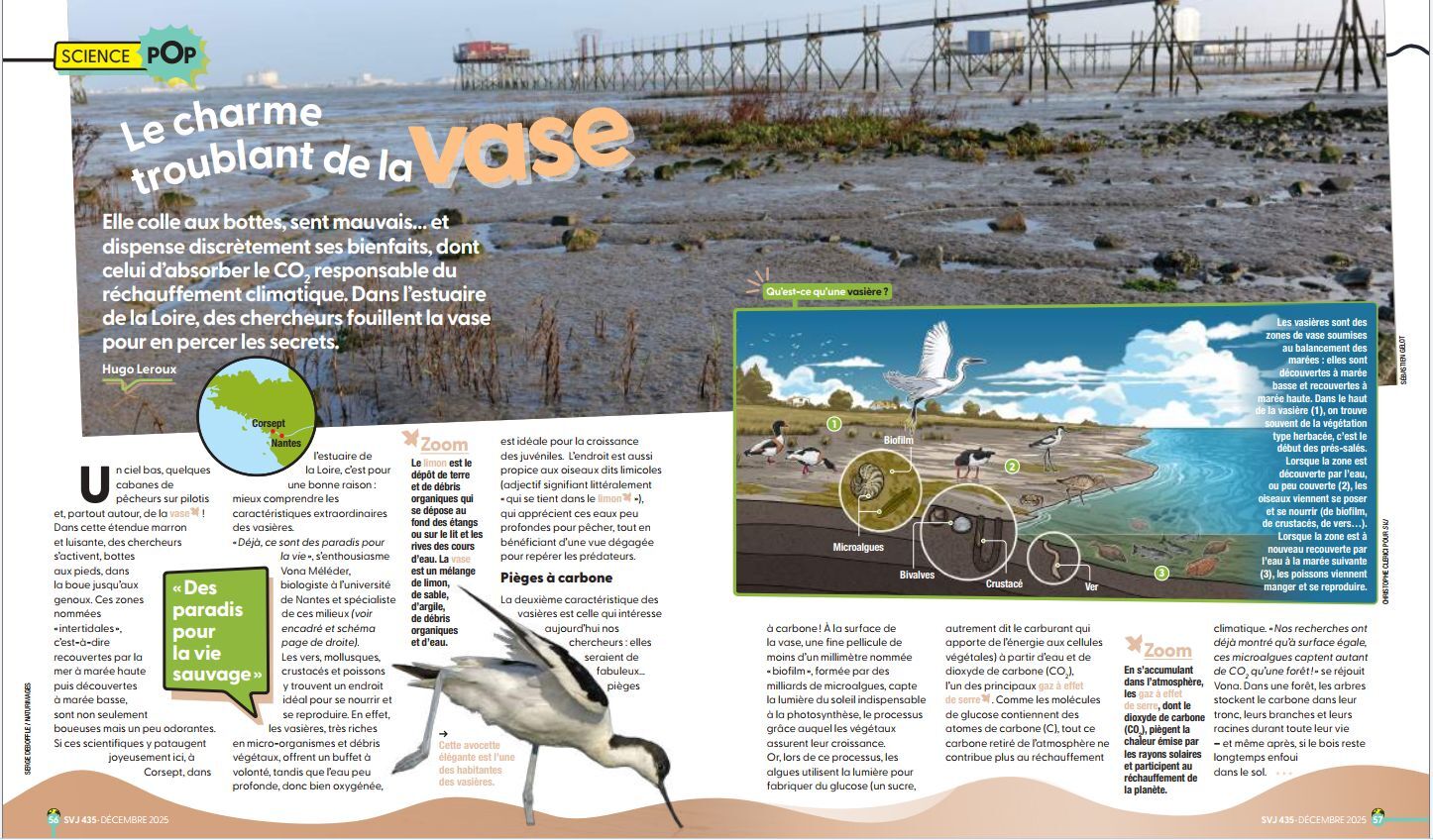 SVJ Vona.jpg SVJ Vona.jpg