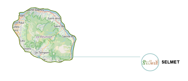 Unités_SLAMB_reunion Unités_SLAMB_reunion