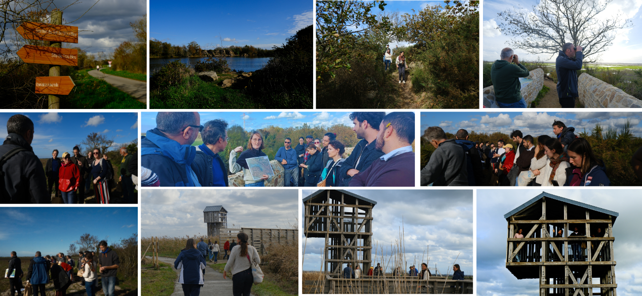 Montage Photos (3).png