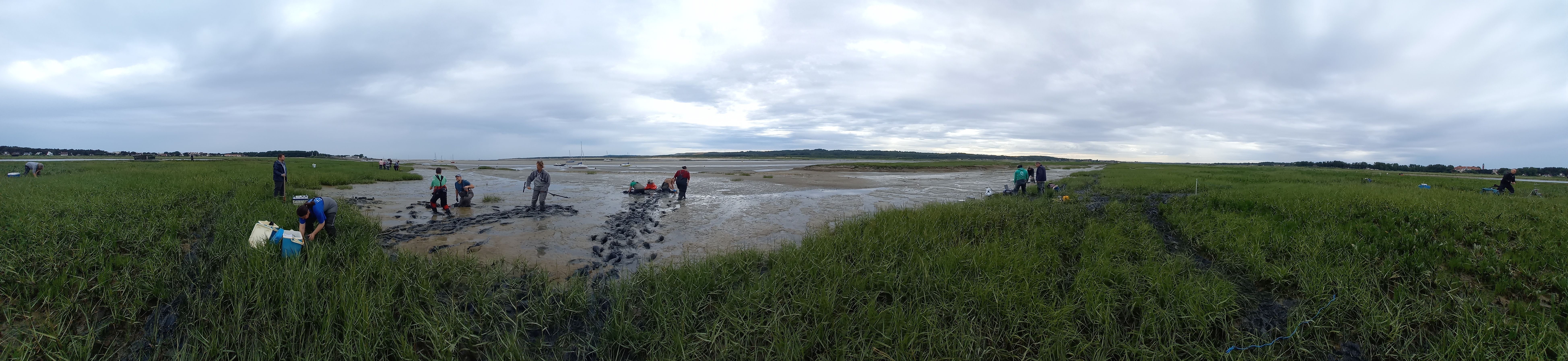 CABESTAN - Estuaire Canche Bannière
