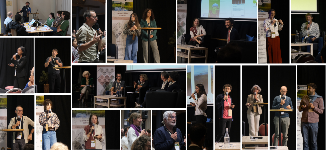 Montage Photos (2).png