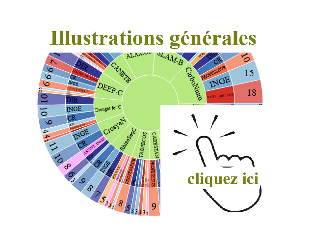 Chiffres Clés par projet