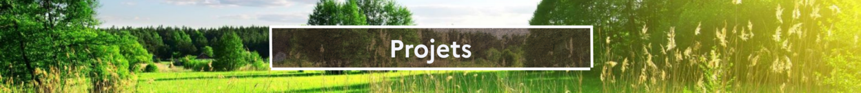 Projets