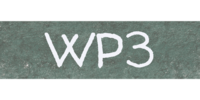 WP3 WP3