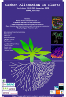 Affiche 2023 Carbon Allocation In Plants