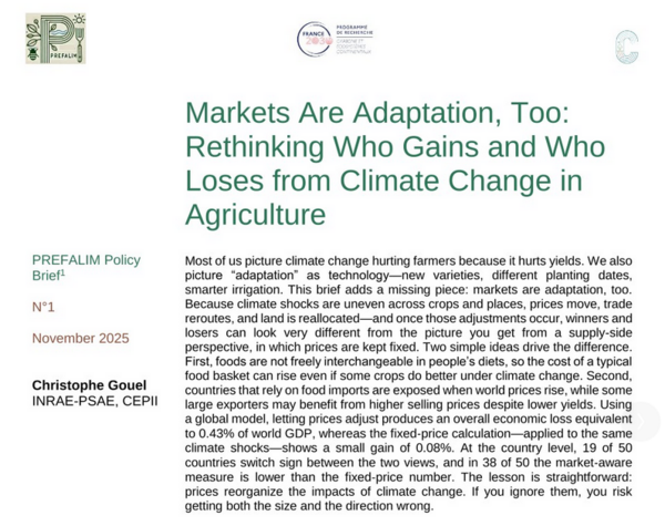 PREFALIM_policy_brief_2.pdf.png PREFALIM_policy_brief_2.pdf.png