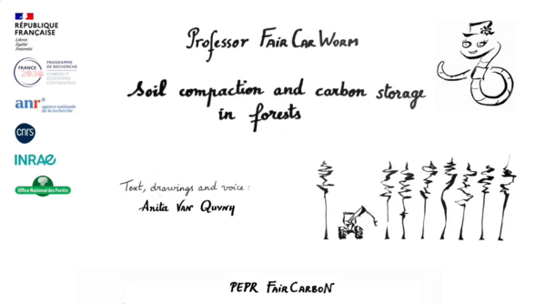 Professeur VerCarboN ENG Forest.png