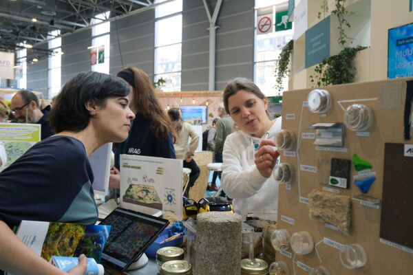 17727022340241.jpg 17727022340241.jpg