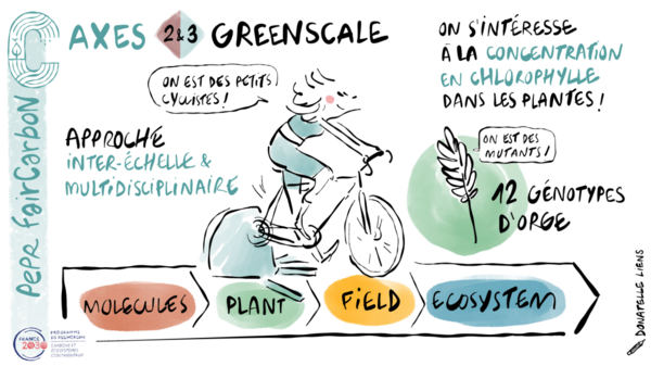 GREENSCALE dessin VF