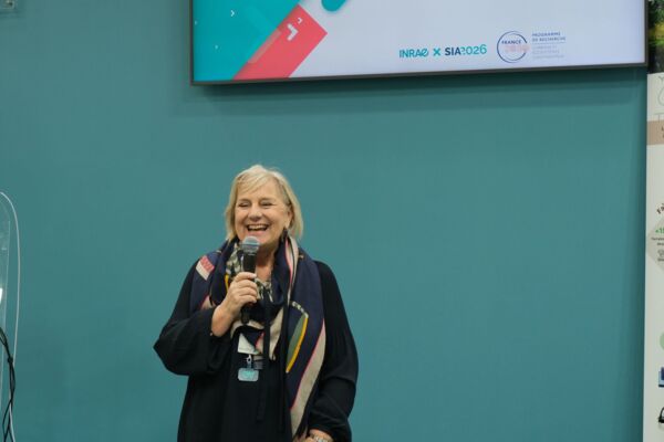 17727022280211.jpg 17727022280211.jpg