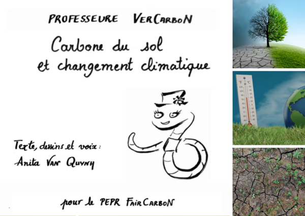 VerCarboN Sols et changement Climatique.png VerCarboN Sols et changement Climatique.png