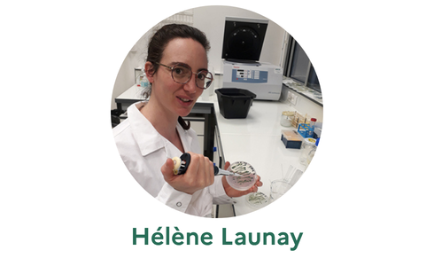 Hélène Launay / CO2_CMPhi Hélène Launay / CO2_CMPhi