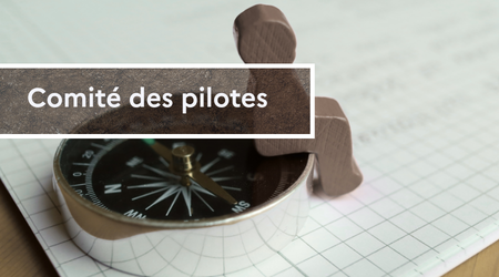 Comit&eacute; des pilotes