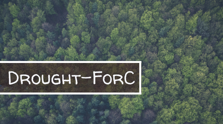 Drought-ForC - Walter
