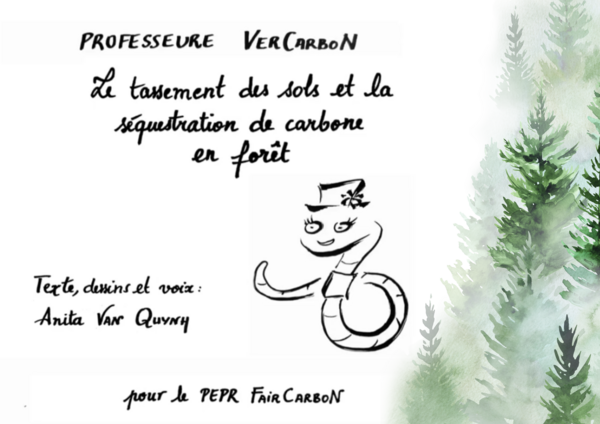 VerCarboN Tassement en Forêt.png VerCarboN Tassement en Forêt.png