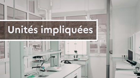 Unités impliquées .png Unités impliquées .png