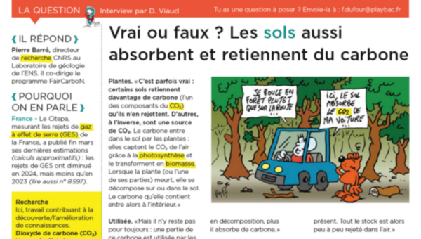 Mon Quotidien.png