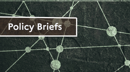 Policy Briefs (2).png Policy Briefs (2).png