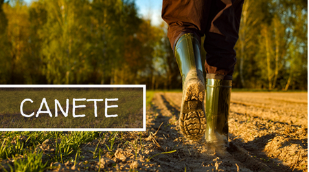 CANETE - Walter