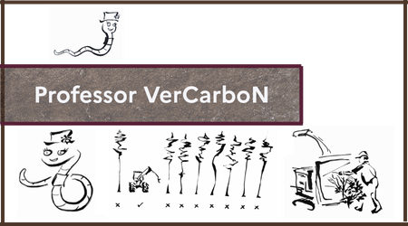 Prof VerCarboN ENG
