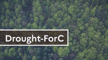 Drought - For C / Axe 2