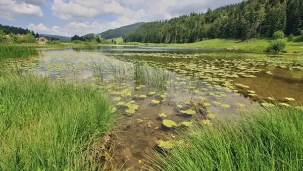 01503092965001-web-tete.webp 01503092965001-web-tete.webp