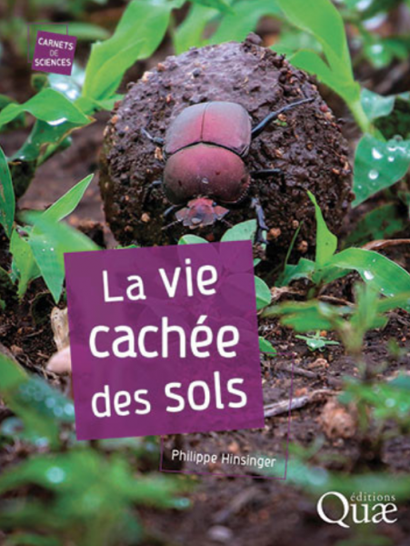 La vie Cachée des Sols