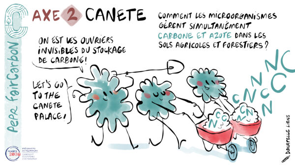 CANETE dessin VF