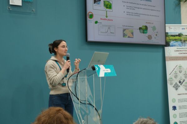 17727022368181.jpg 17727022368181.jpg