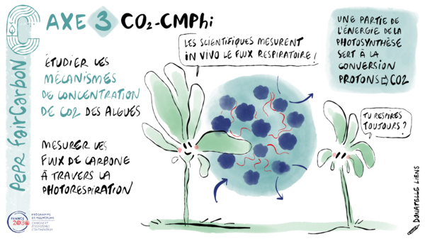 CO2_CMPhi dessin VF