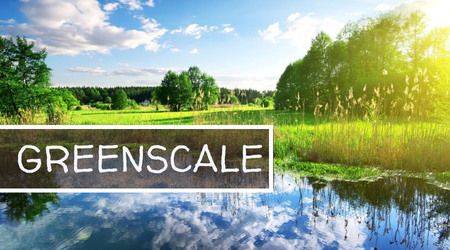 GREENSCALE - Walter - En construction